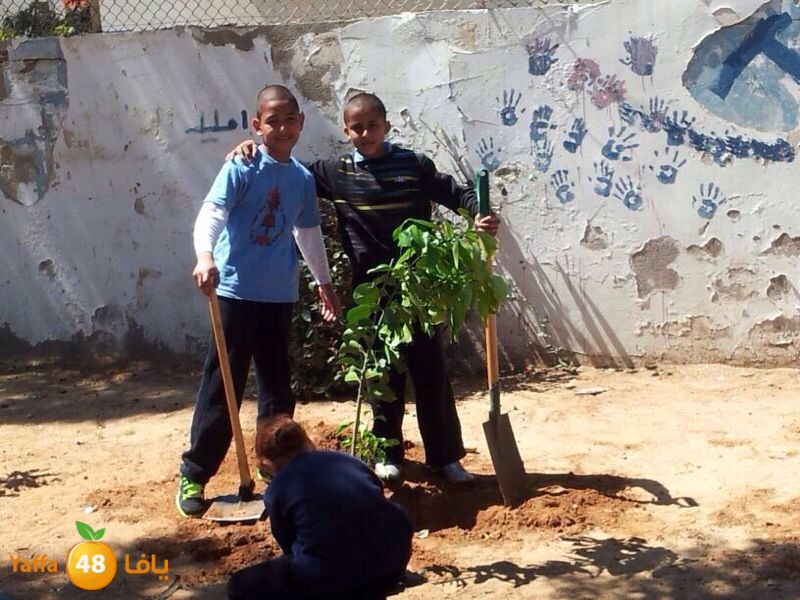 ashjar okhowa (2).jpg